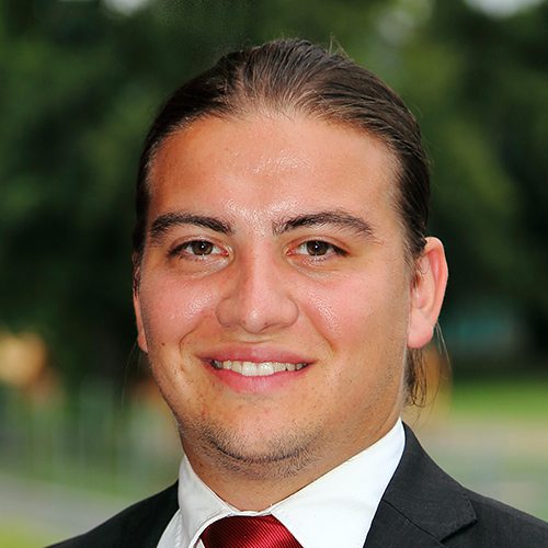 Dominik Riegelnegg, MA